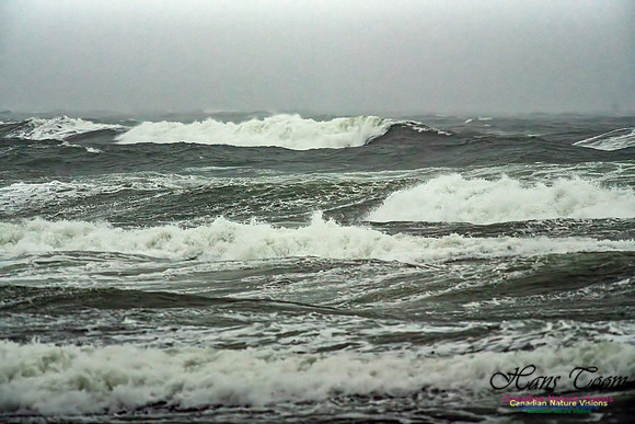 Martinique Beach Gale 100
