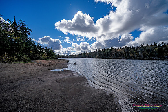 Sambro Loop 126