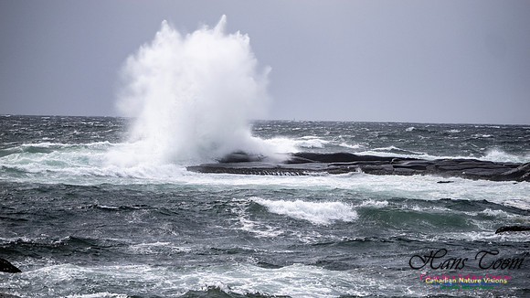 Coastal Tour 135