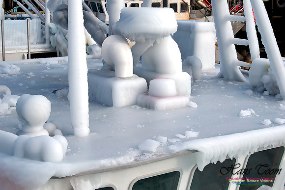 Icy Voyage