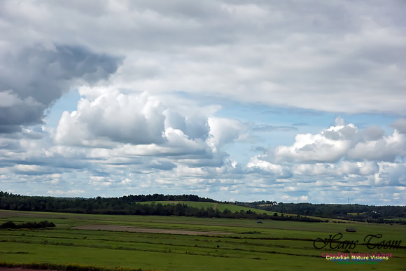 Pastoral
