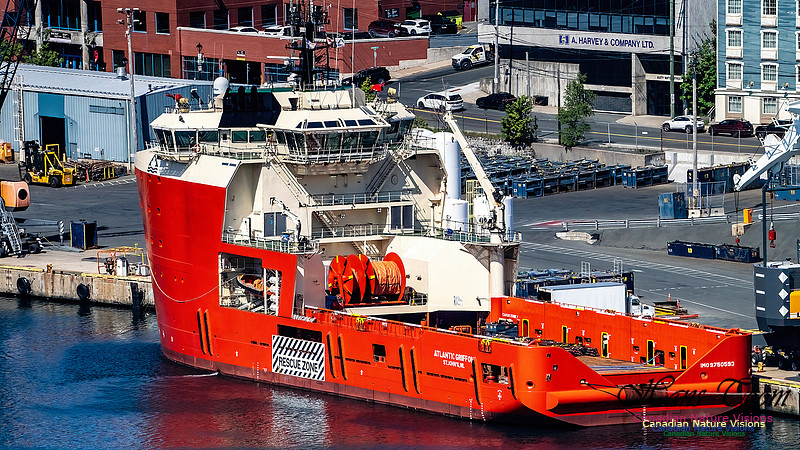 St. John's, Newfoundland 123