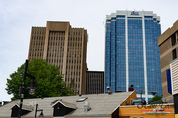 Halifax Waterfront Stroll 141