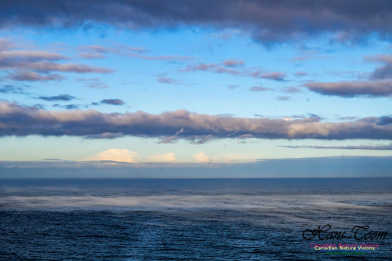 Aura of Ocean 105