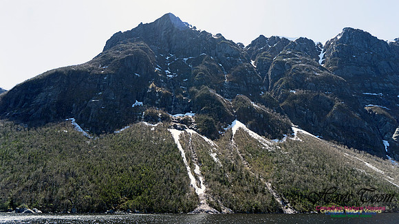 Western Brook Pond 245