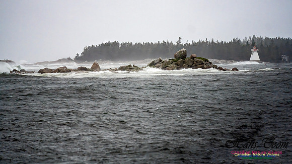 Nova Scotia Gale 2024-09-07 188