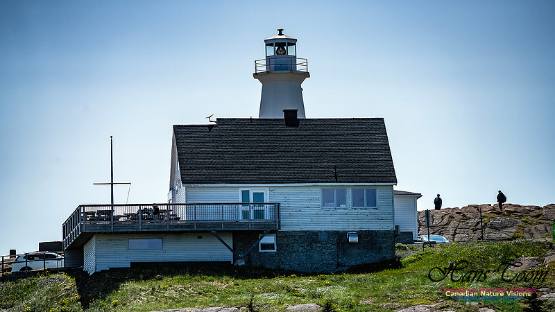 St. John's, Newfoundland 132