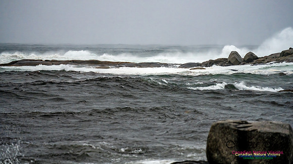 Nova Scotia Gale 2024-09-07 166