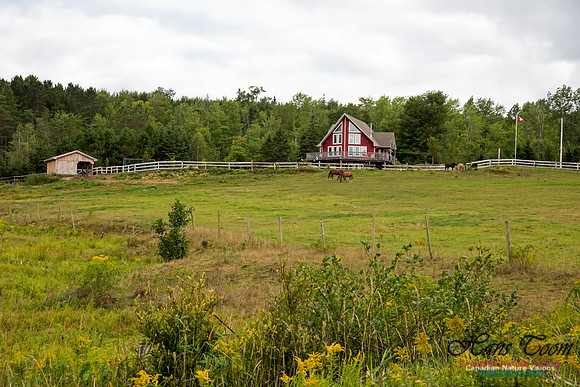 Country Home