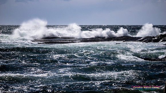 Coastal Tour 112