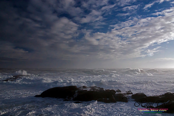 December Gale Duncan Reef