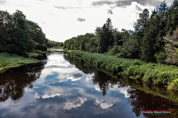 Musquodoboit River