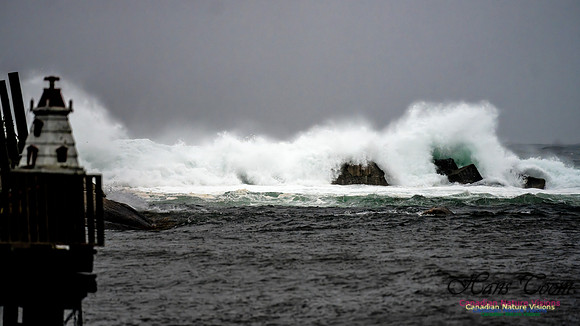 Nova Scotia Gale 2024-09-07 193