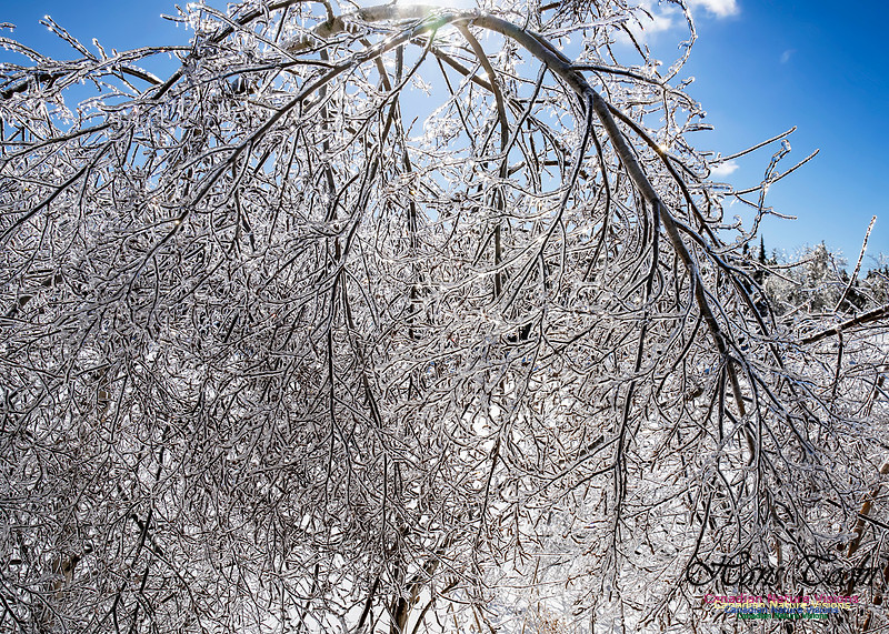 Ice Storm 2022 116