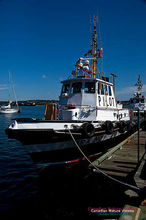 Pilot Boat No1