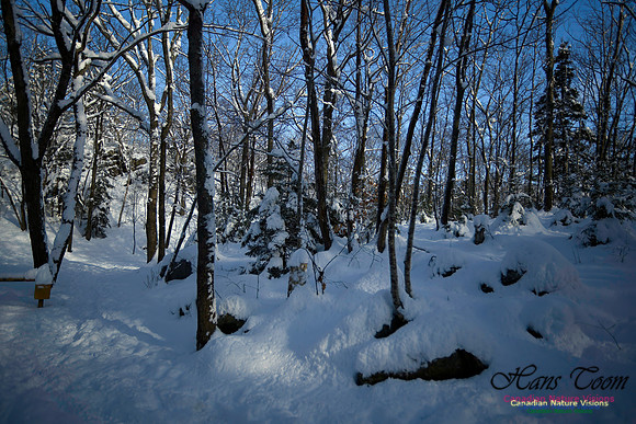 Christmas Day 2024 113
