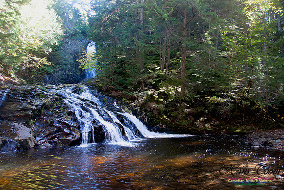 Butchers Falls