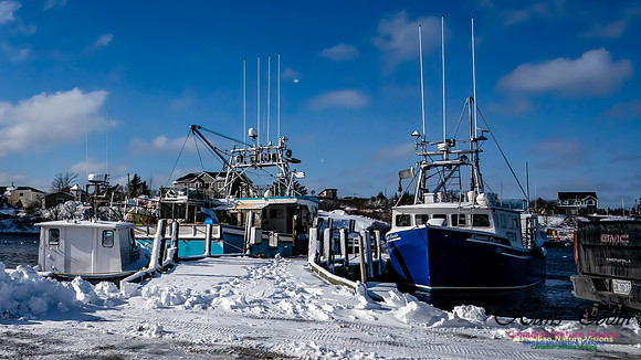 Nova Scotia Winter 309