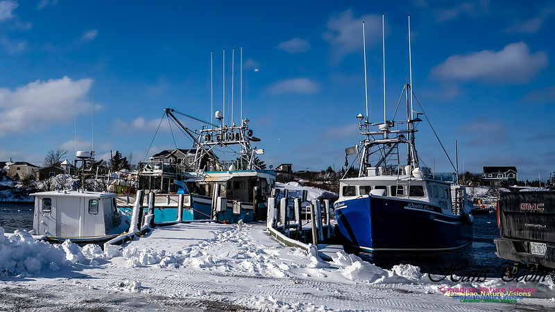 Nova Scotia Winter 309