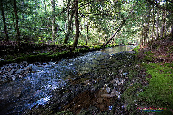 Butchers River