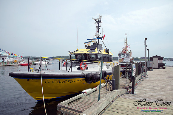Chebucto Pilot