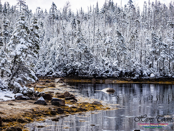 April Snow in Nova Scotia 212