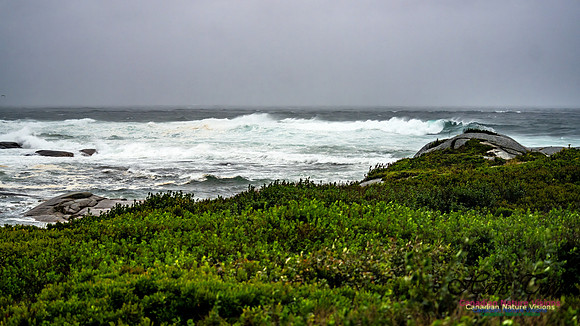 Nova Scotia Gale 2024-09-07 153