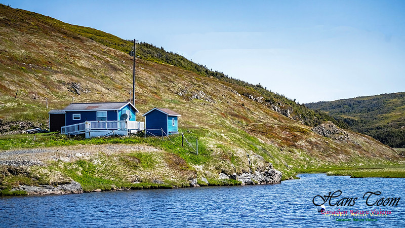 Cape Race 102