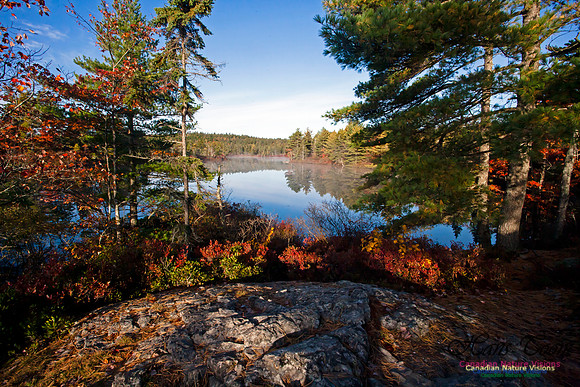 FallColours2012-27