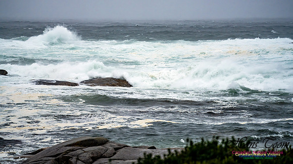 Nova Scotia Gale 2024-09-07 161