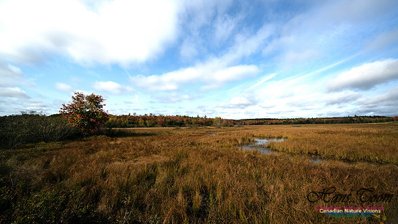 First Fall Photos Nova Scotia 111
