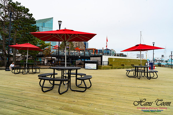 Halifax Waterfront Stroll 111