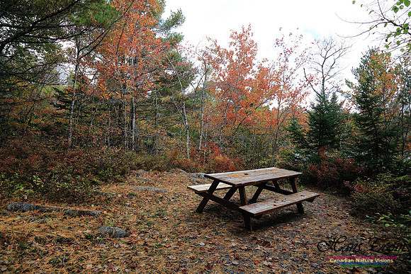 Bell Park