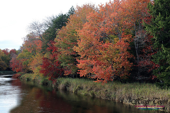 Shubenacadie Valley