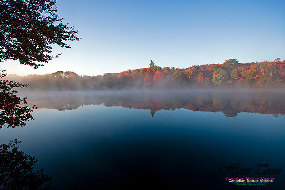 FallColours2012-14