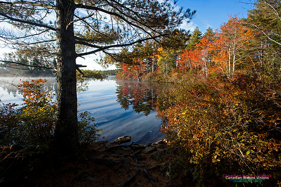 FallColours2012-34