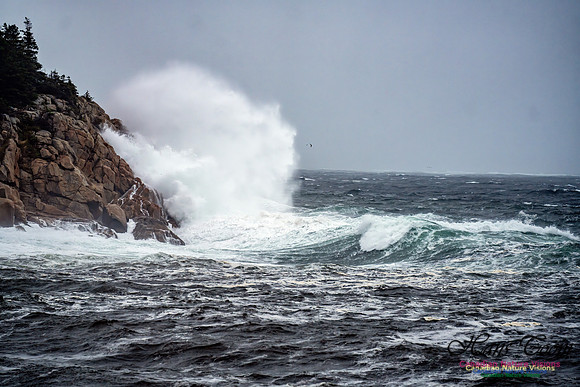 Nova Scotia Gale 2024-09-07 104