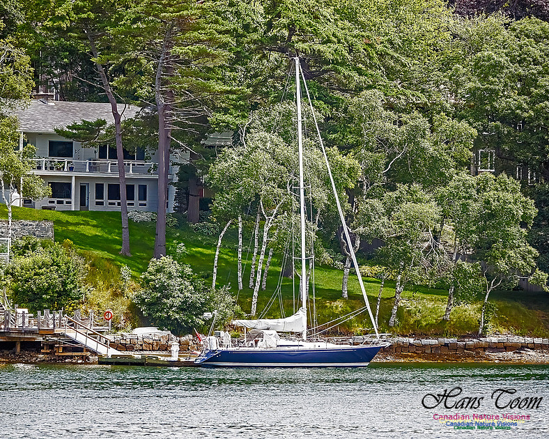 Moored Sailboat 100