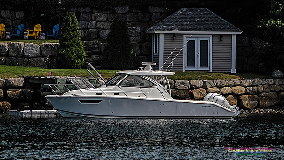 Speedboat Moored at Northwest Arm 100