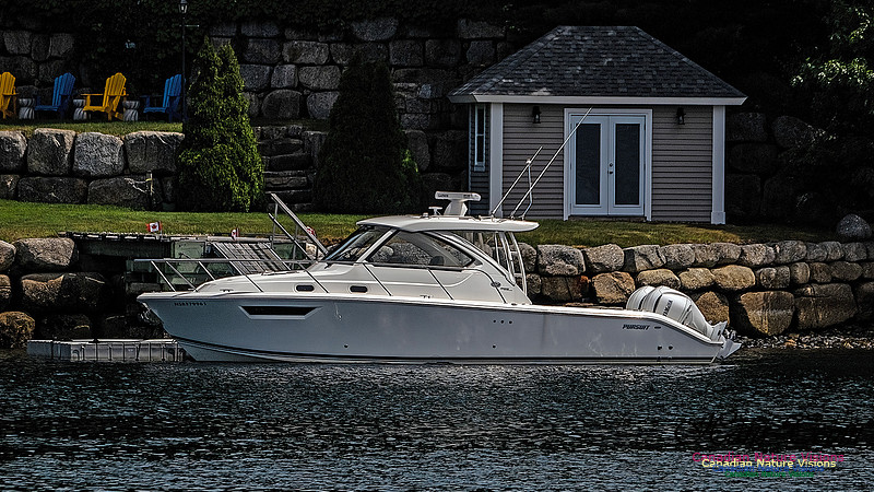 Speedboat Moored at Northwest Arm 100