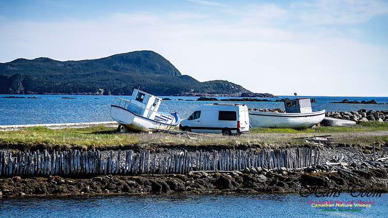 Cape Race 118