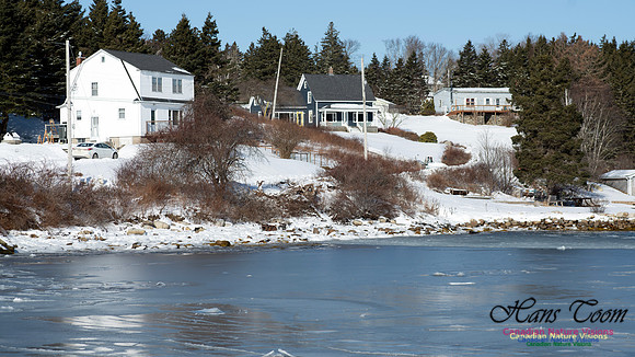 Prospect Bay Loop 123