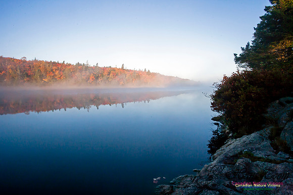 FallColours2012-15