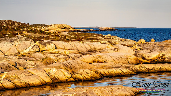 Late Day at Peggy's Cove 125