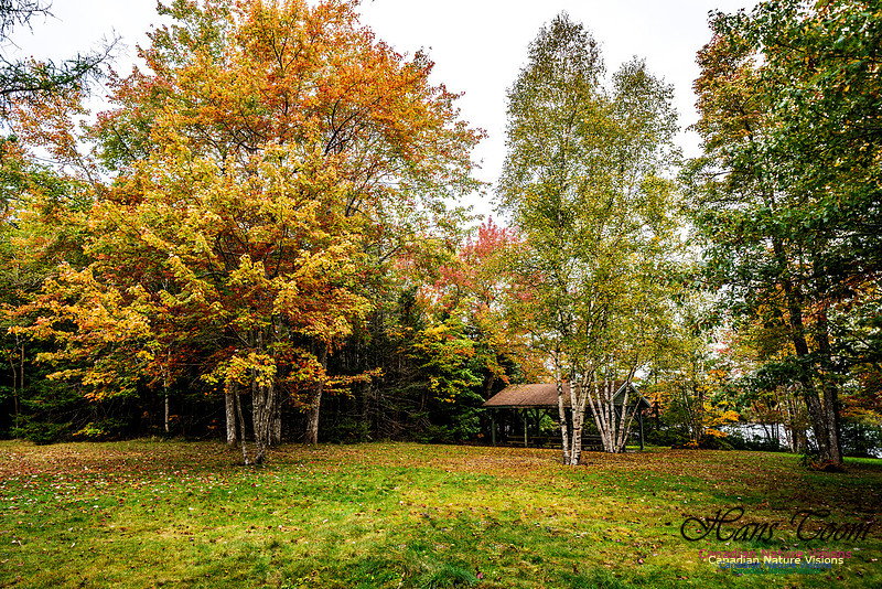 More Early Fall Photos in Nova Scotia 221