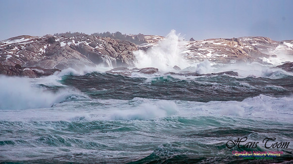 February 17 Gale 127