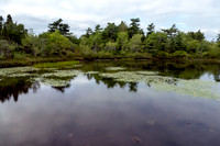 Sir Sanford Fleming Park