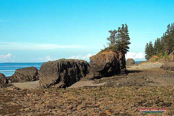 Baxters Harbour