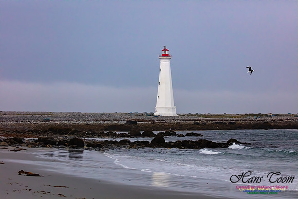 Cape Sable Light 109