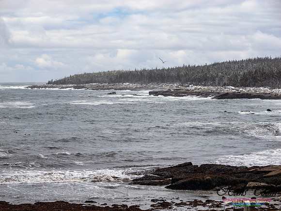 April Snow In Nova Scotia 124